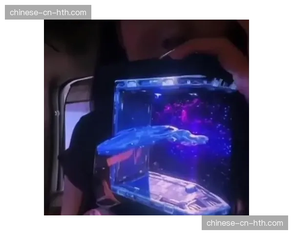 裸眼3D效果在直播特效中尝试应用，显著提升了品牌赞助位的视觉冲击力